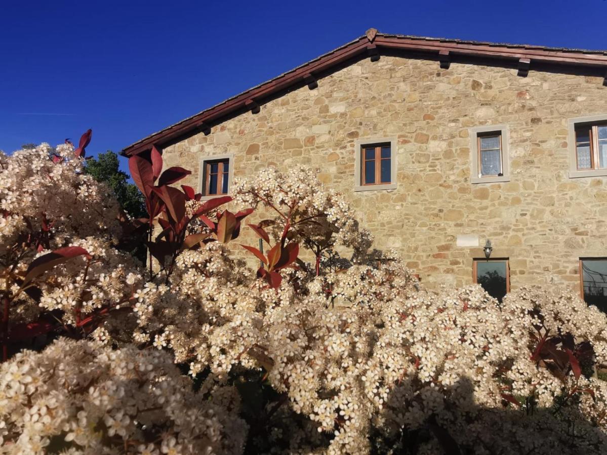 Il Cerro Guest House Pelago Luaran gambar
